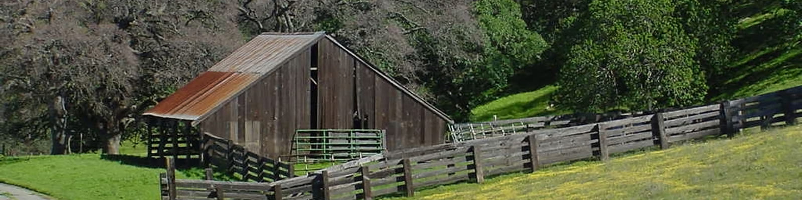 Barn in fields of mustard near Kregor Peak